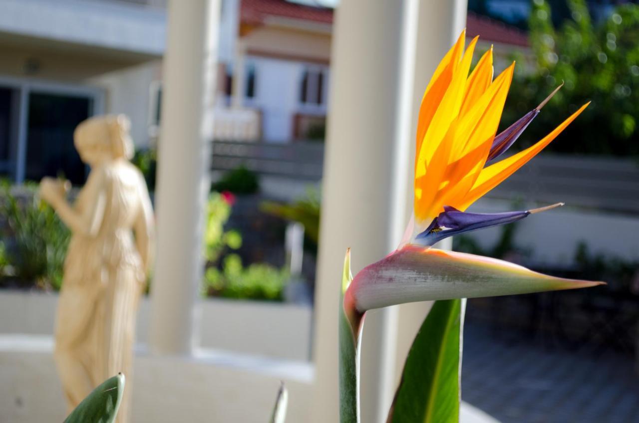 Hotel Estia Finikounta Dış mekan fotoğraf